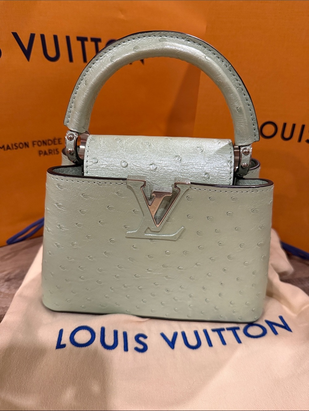 Louis Vuitton Capucines Mini Bag Exotic Ostrich in Mint Green - Picture 2 of 15